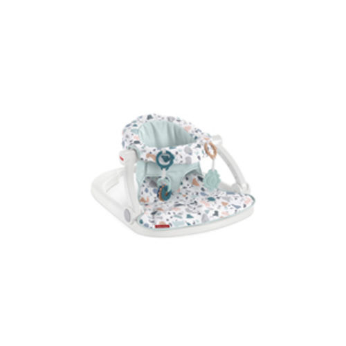 Fisher-Price Baby Portable Baby Chair Sit-Me-Up Floor Seat with Developmental Toys & Machine Washable Seat Pad, Pacific Pebble