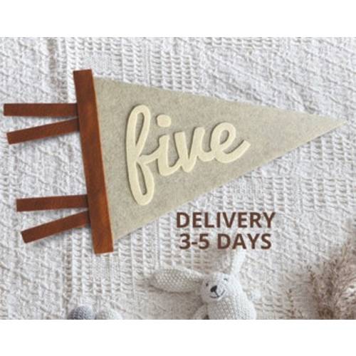 Baby Milestone Cards, Baby Monthly Milestone Marker, Personalized Pennant, Monthly Milestones Baby Boy, Milistone Pennant, Millistone Card - Etsy