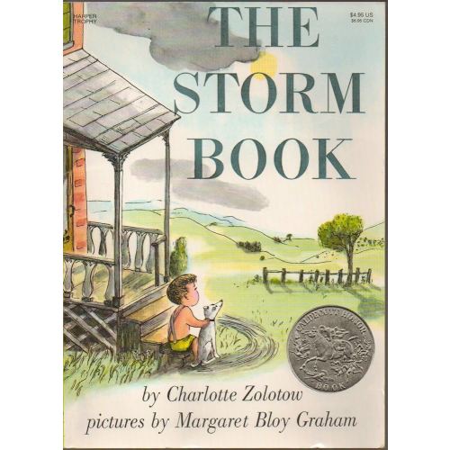 The Storm Book: A Caldecott Honor Award Winner