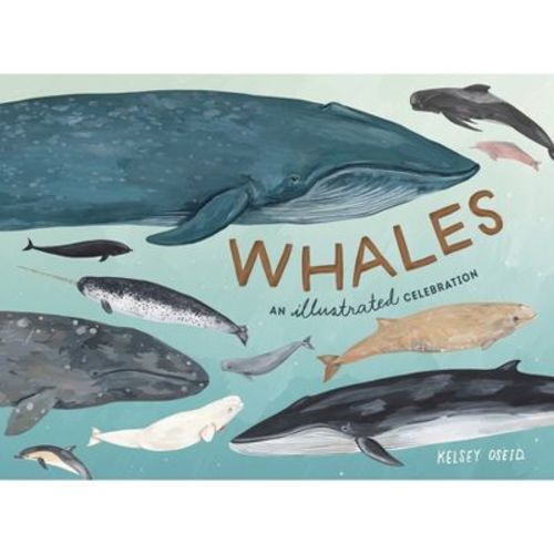 Whales - By Kelsey Oseid (hardcover)
