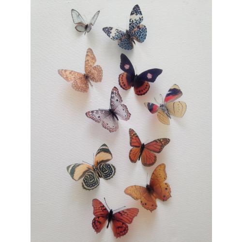 10 Natural 3D Butterflies Butterfly Picture Frames Home Wall Wedding Decorations Scrap booking Card Making DIY Hair accessories Baby Shower