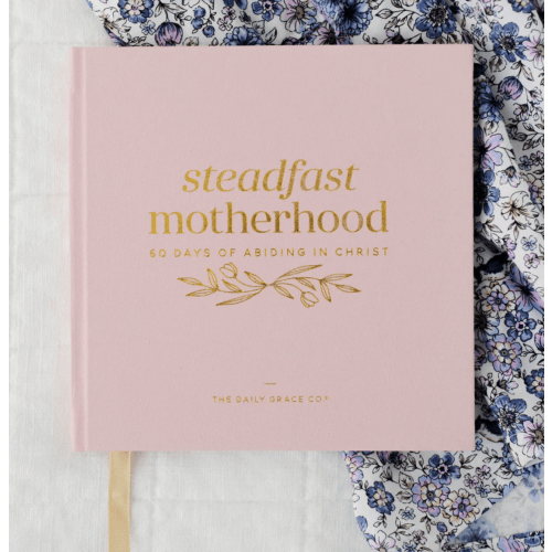 Steadfast Motherhood | 60 Days of Abiding in Christ – The Daily Grace Co.
