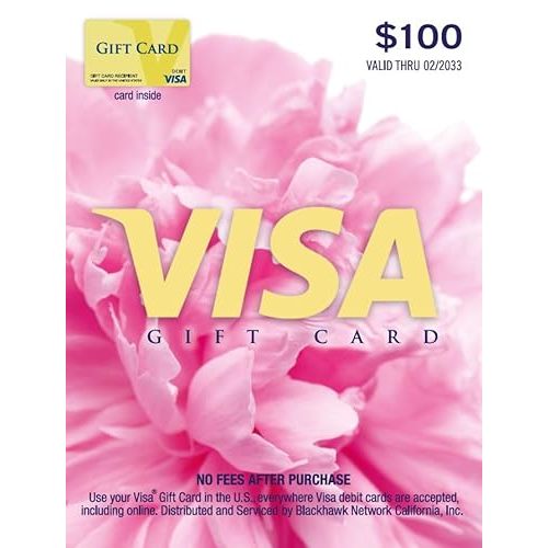 Visa $100 Gift Card (plus $5.95 Purchase Fee)