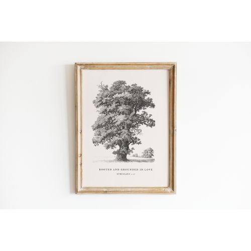 Christian Wall Art, Ephesians 3:17, Bible Verse Print, Rooted & Grounded, Modern Scripture Decor, Vintage Tree Sketch, Encouraging Faith