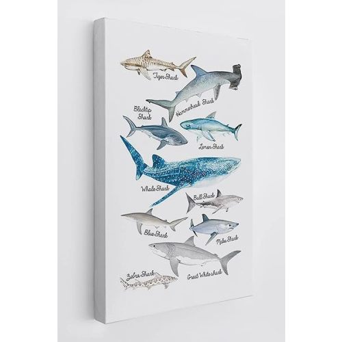 Sea Life Shark Educational Ocean Animal Chart Wall Art Canvas Farmhouse Shark Theme 11x14 Inch Prints Decor For Home Bedroom Living Room Classroom Library Dorm,Gift For Kids Students Classmates
