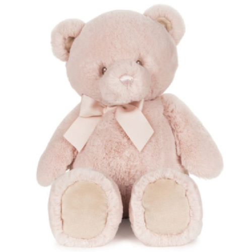 Gund MyFirstFriendTeddy Pink by SPIN MASTER | Barnes & Noble®