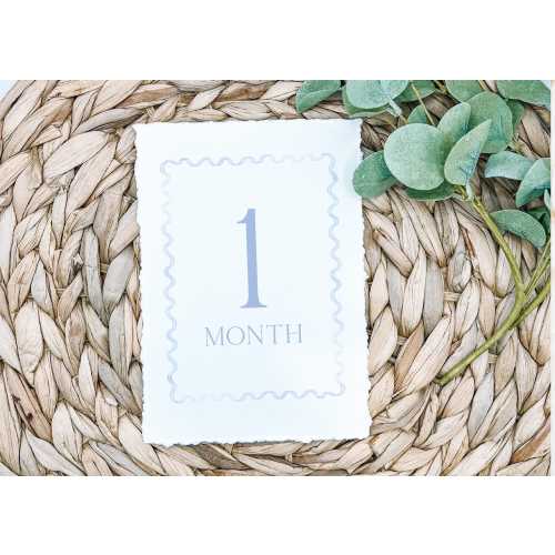 Blue Monthly Milestone Cards, Southern Baby Boy Watercolor Monthly Milestone Cards, Preppy Milestone Cards, Printed Deckled Milestone cards