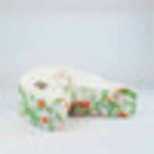 Organic Nesting Pillow / Balboa Park - Blessed Nest