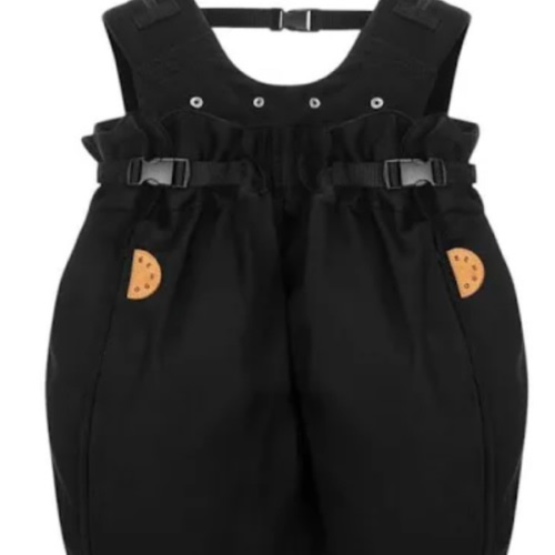 The Weego TWIN Baby Carrier