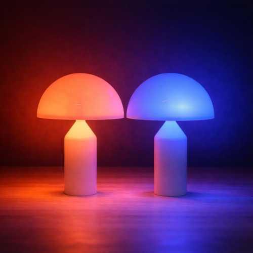 Mushroom Night Light Touch Lamp