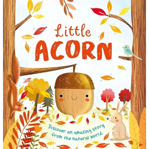 Nature Stories: Little Acorn: Padded Board Book