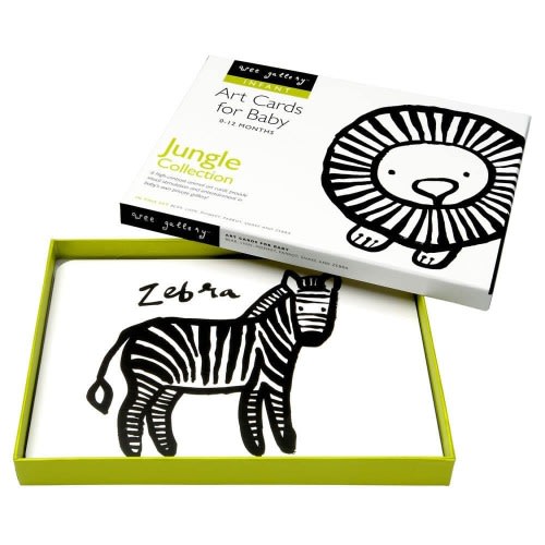 Jungle Collection Art Flashcards