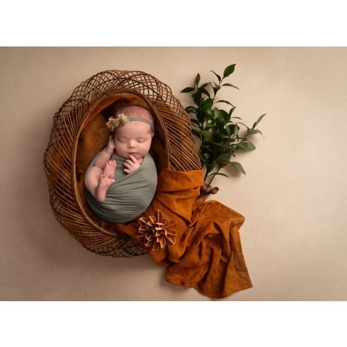 $300 Infant Photography Session 🍂 📸