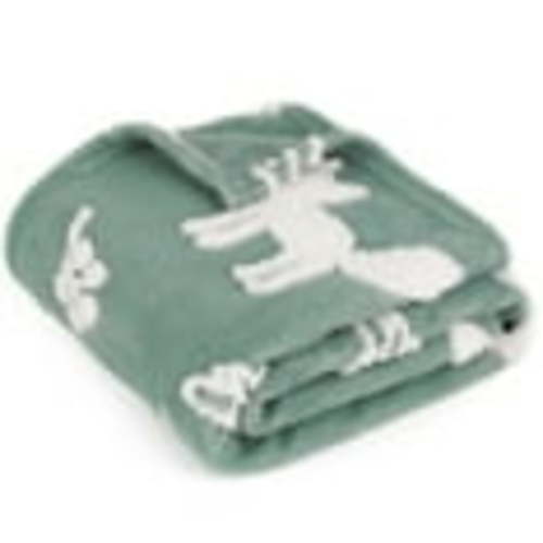 BORITAR Baby Blanket for Boys Girls, 3D Jacquard Fleece Fuzzy Receiving Blanket, Soft Warm Cozy Blanket with Lovely Fox Animal Design for Home Decor, Toddler or Newborn(30 x 40 Inch, Green)