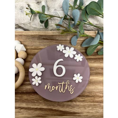 Acrylic Baby Milestone Marker, Baby Milestone Discs, Interchangeable Milestone Card, Baby Photo Prop, Baby’s First Year, Baby Shower Gift