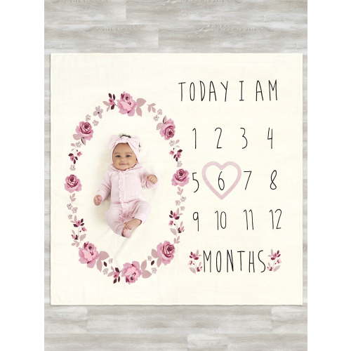 Modern Moments by Gerber Baby Girl Milestone Blanket & Frame Set, 2-Piece, Pink Roses