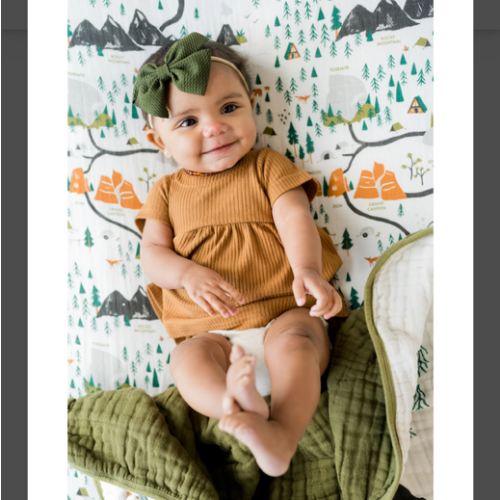 National Parks Crib Sheet