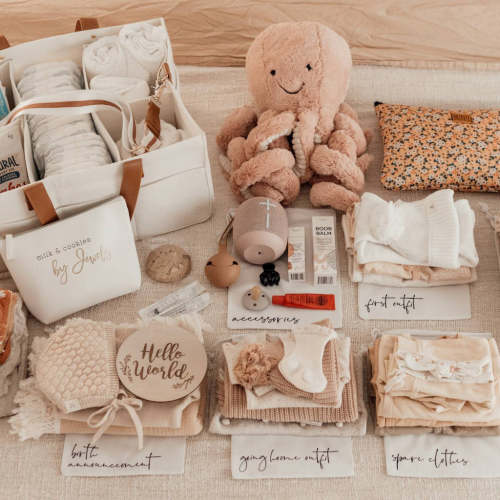HOSPITAL BAG ORGANISERS WITH WET BAG