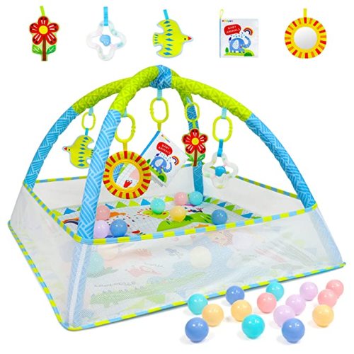 Dr.Rapeti Baby Play Gym Mat with Ball Pit Activity Gym Center Tummy Time Mat Thickened Mat Sensory Exploration Motor Skill Development for Newborn Infant Baby Toddlers - 32*32inch