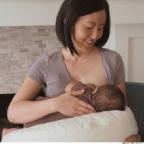 The Nesting Feeding Pillow