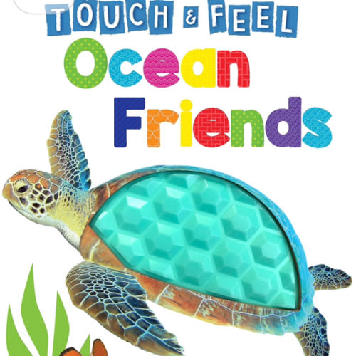 Ocean Friends - Touch and Feel Board Book - Sensory Board Book