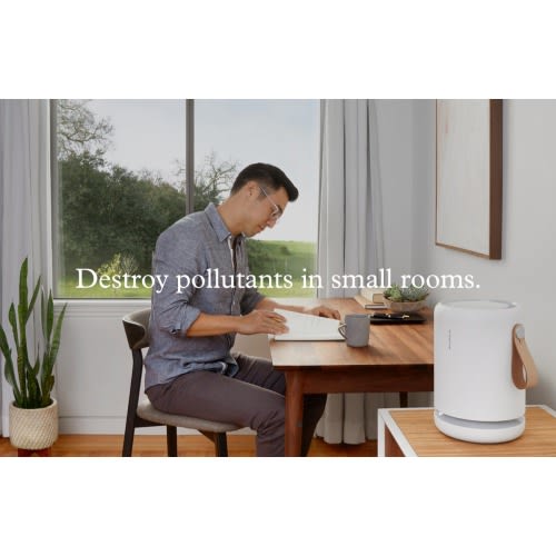 Molekule Air Mini+ Air Purifier