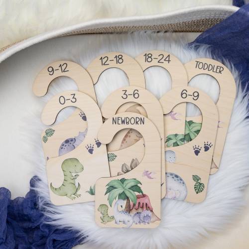 Dinosaur Clothing Dividers, Dinosaur Baby Clothing Divider, Wood Wardrobe Divider, Nursery Closet Divider, Dinosaur Nursery Theme B23