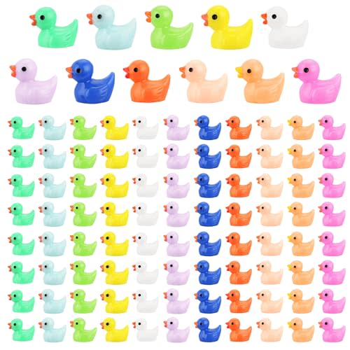 CRTWDMAN 240 Pcs Mini Ducks Tiny Duck Figurines Bulk for Garden Micro Landscape, Mini Resin Ducks for Dollhouse Aquarium Potted Ornament Charms Party Toys DIY Craft Accessories