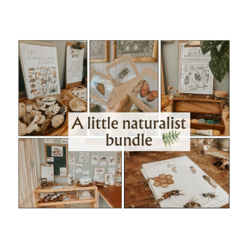 A little naturalist BUNDLE. - homeschool bundle -nature/Charlotte Mason learning
