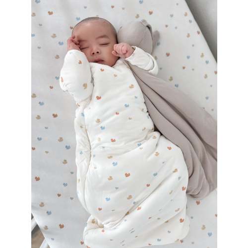Long Sleeve Transitional Swaddle Sack - Ducks