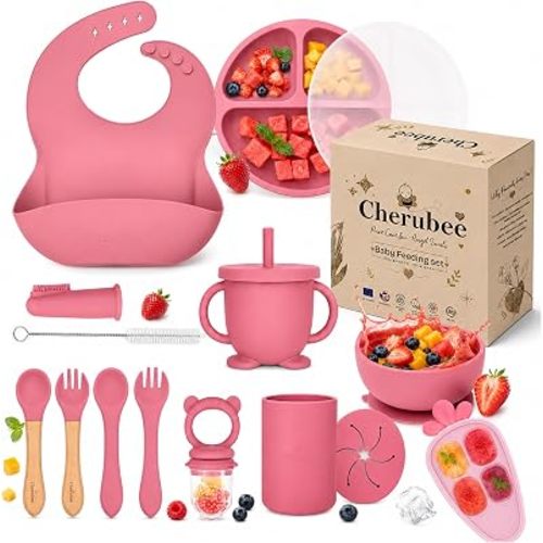 Baby Feeding Essentials Silicone Baby Feeding Set 14-Pcs | Suction Plate with Lid, Bowl, Adjustable Bib, Sippy Cup, Snack Cup, Spoon, Fork, Pacifier, Brush & Ice Tray | CE & CPC Certified