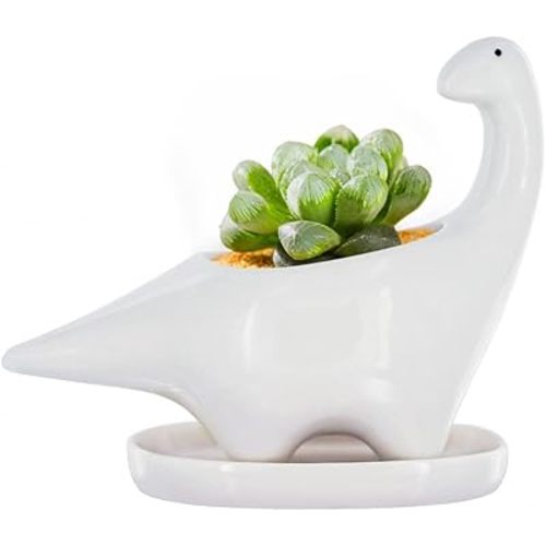 GeLive White Dinosaur Ceramic Succulent Planter Flower Plant Pot Window Box with Saucer Cartoon Animal Decor, 5 Inch, Indoor Outdoor