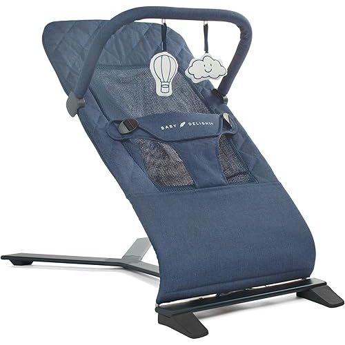 Baby Delight Alpine Deluxe Portable Bouncer, Infant, 0 – 6 Months, Quilted Indigo