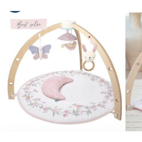 Baby Gym | Premium Baby Activity Gym | aden + anais