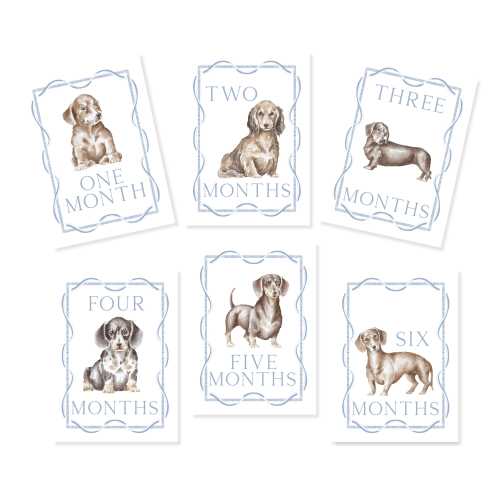 Dachshund Milestone Cards, First Year Cards, Monthly Milestone, Boy Month Cards