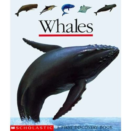 Whales (First Discovery Books)