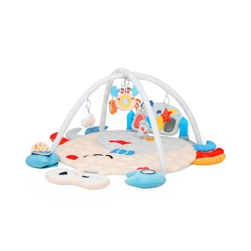 Advwin 4 in 1 Kids Activity Gym Mat
