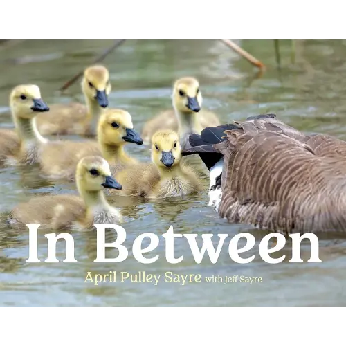 In Between