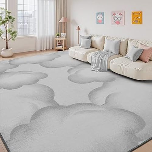 Grey Cute 5x7 Area Rugs for Living Room Bedroom Rug Carpet Washable Soft Neutral Modern Farmhouse Rug Non Slip