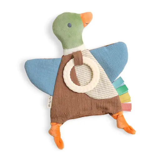 Crinkle Toy with Teether | Itzy Ritzy® | Unique Sensory Toy