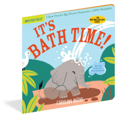 It's Bath Time! Indestructible Book