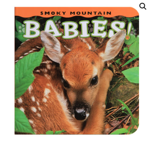 Smoky Mountain Babies! Board Book | Smokies Life