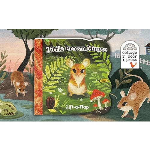 Little Brown Mouse - A Lift-a-Flap Board Book for Babies and Toddlers, Ages 1-4 Board book – Lift the flap, June 20, 2022