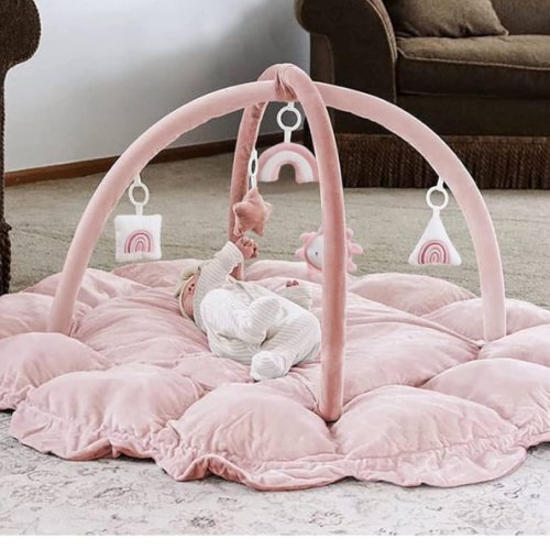 5-in-1 Thick & Plush Baby Play Gym, Baby Play Mats for Floor, Tummy Time Mat with 6 Toys, Cat Bed Dog Bed, Convertible Stage-Based Developmental from Baby to Toddler, Ball Pit, Pet Cushion Cloudico