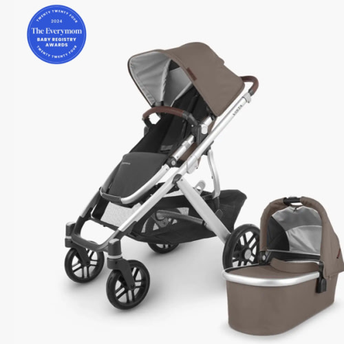 UPPAbaby Vista V2 Stroller / Convertible Single-To-Double System / Bassinet, Toddler Seat, Bug Shield, Rain Shield, and Storage Bag Included / Theo