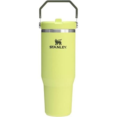 Stanley IceFlow Flip Straw Tumbler with Handle | Twist On Lid and Flip Up Straw | Leak Resistant Water Bottle | Insulated Stainless Steel | BPA-Free