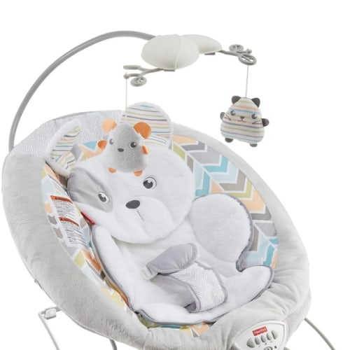 Amazon.com : Fisher-Price Sweet Snugapuppy Deluxe Bouncer, portable bouncing baby seat with overhead mobile, music, and calming vibrations [Amazon Exclusive] : Baby