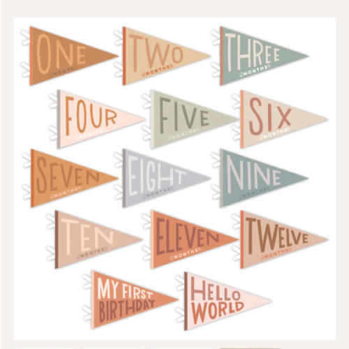 Mountain Fields Petit Milestone Pennant – Lucy Darling
