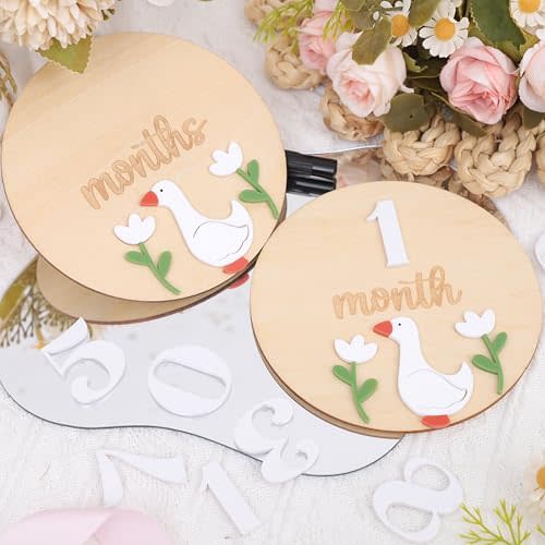 Goose Monthly Milestone Wooden Board - Wood One Funny Goose First Year Monthly Decoration, Baby Nursery Milestone Sign, Newborn Monthly Milestone Disc, 1-12 Months Record for Newborns