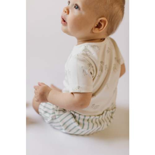Bloomer Short